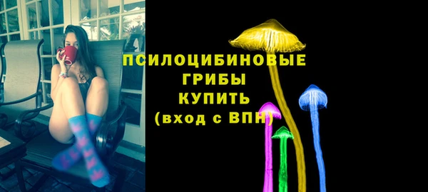 бошки Абаза