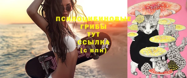 гидропоника Абдулино