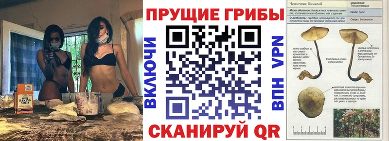 Галлюциногенные грибы мухоморы Сызрань