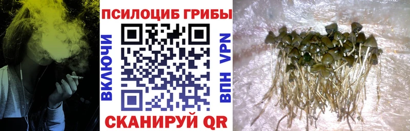 ссылка на мегу ссылка Сызрань Псилоцибиновые грибы Magic Shrooms наркота